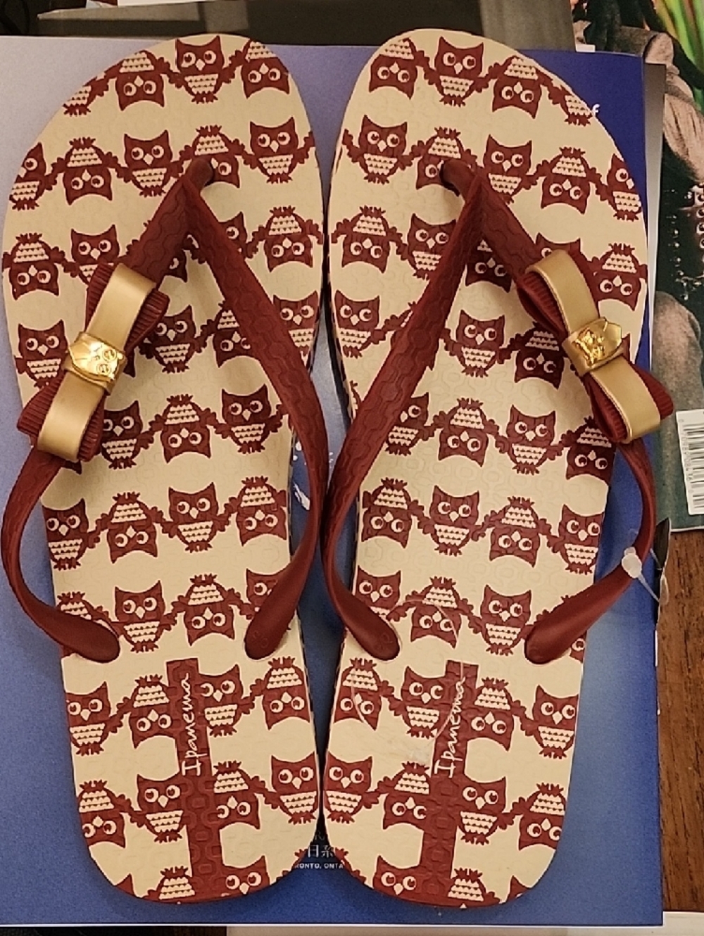 Ipanema Beige/Red Women Sandals